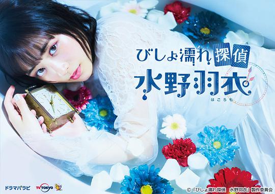 湿身侦探水野羽衣封面图