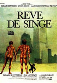 猴子再见封面图