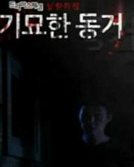 奇妙的同居封面图