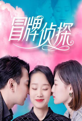 冒牌侦探封面图