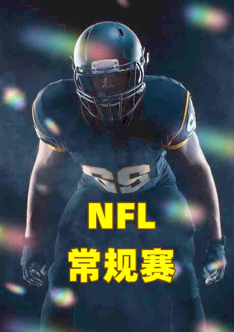 NFL常规赛-老鹰vs巨人-20221212封面图