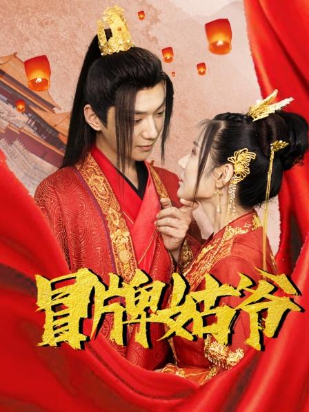 冒牌姑爷封面图