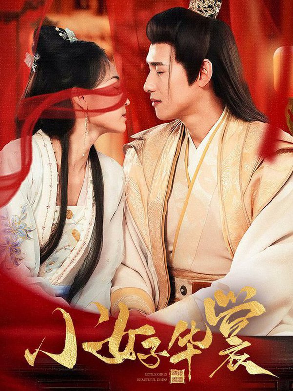 小女子华裳封面图
