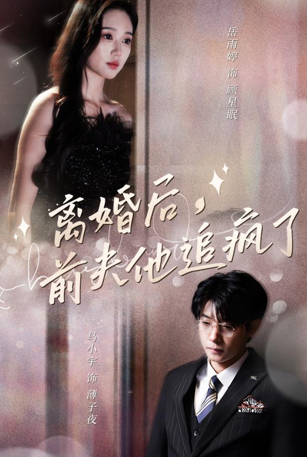 离婚后，前夫他追疯了封面图