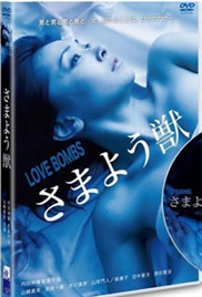 彷徨的野兽封面图