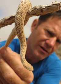 致命凶物封面图