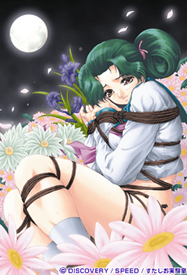 月花美人封面图