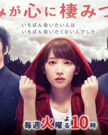 你已藏在我心底封面图