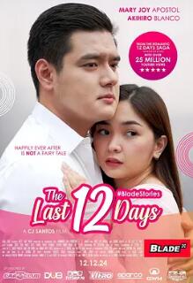 最后12天封面图