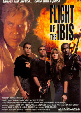 无敌雄鹰(普通话版)封面图