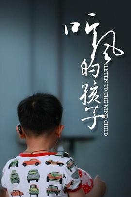 听风的孩子封面图