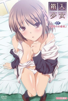 箱入少女 -Virgin Territory-封面图