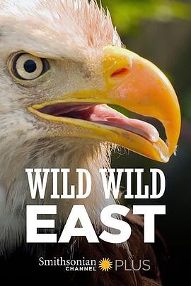 狂野东部封面图