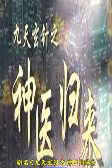 九天玄针之神医归来封面图