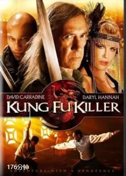 功夫杀手封面图