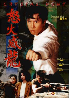 怒火威龙 怒火威龍封面图