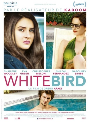 暴风雪中的白鸟封面图