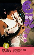 巨乳的疑惑封面图