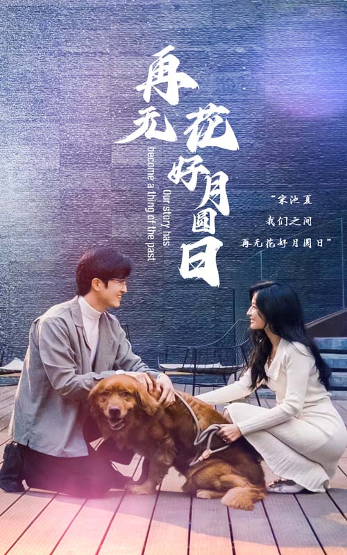 再无花好月圆日封面图