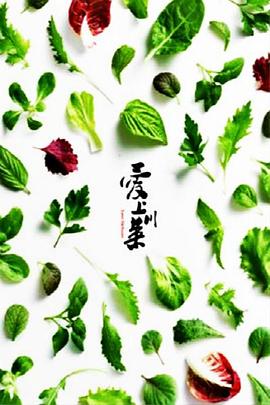 爱上川菜封面图