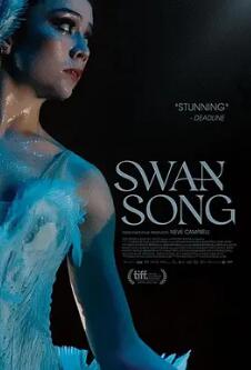 重回天鹅湖封面图