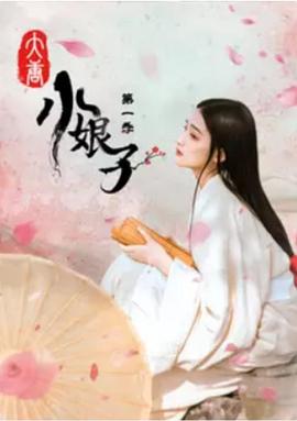 大唐小娘子第一季封面图
