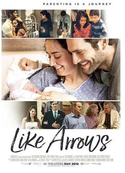 像箭一样封面图