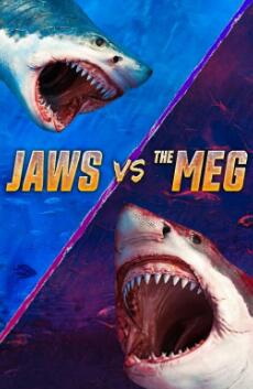 下巴与梅格封面图