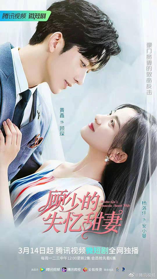 顾少的失忆甜妻封面图