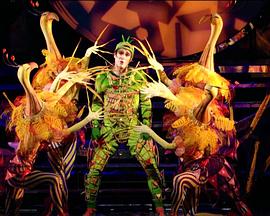 斗法(英语版)封面图