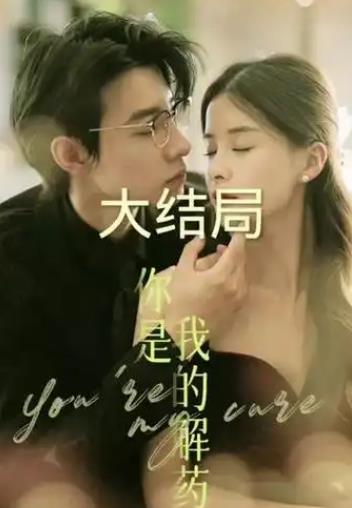 你是我的解药封面图