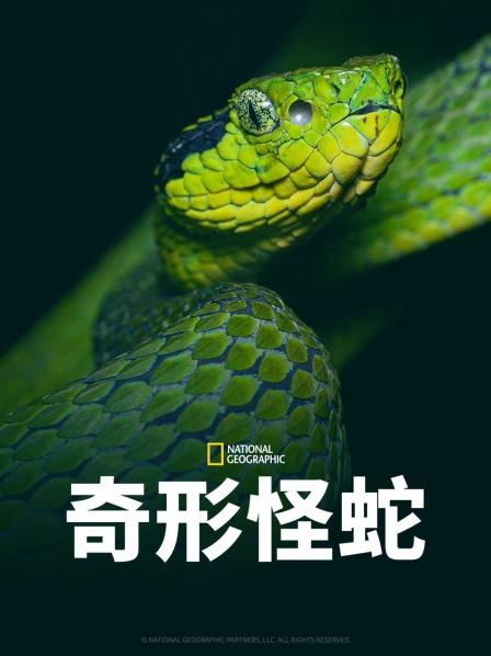 奇形怪蛇封面图