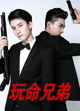 玩命兄弟封面图