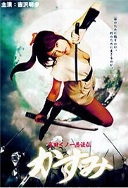 真田女忍法传之猿飞佐助封面图