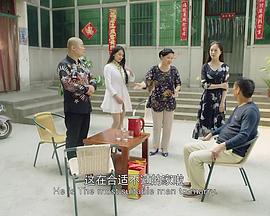 第九个女婿封面图