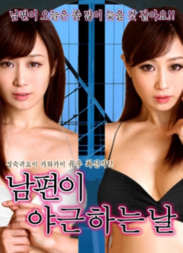 丈夫去上班的日子里封面图