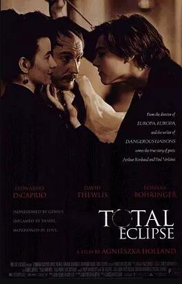 心之全蚀封面图