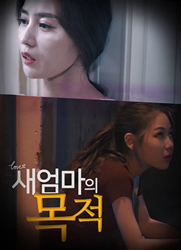 新妈妈的目的封面图