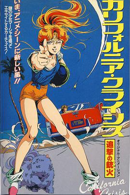 加州危机：追击的枪火封面图