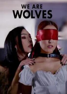 我们是狼封面图