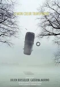 透明的心封面图