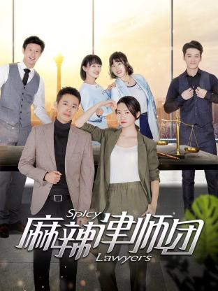 麻辣律师团封面图