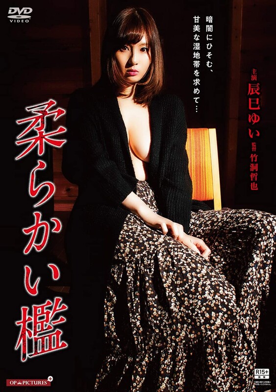 软禁:深浅行动封面图