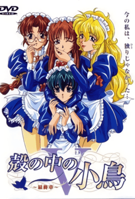 壳中小鸟封面图