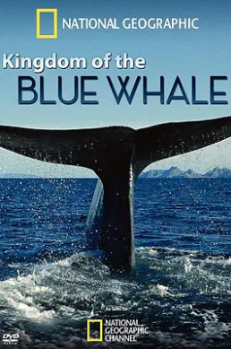 蓝鲸王国封面图