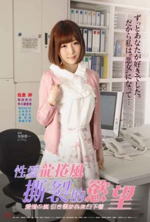 性爱龙卷风：撕裂的欲望封面图