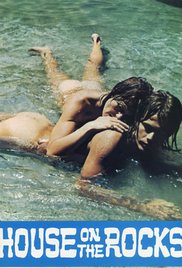 岩石上的房子封面图