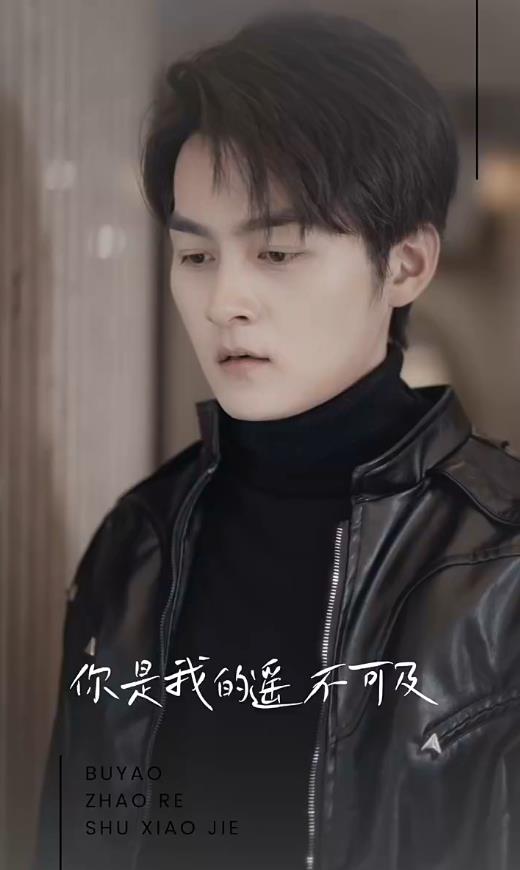 无法触碰的爱2024封面图