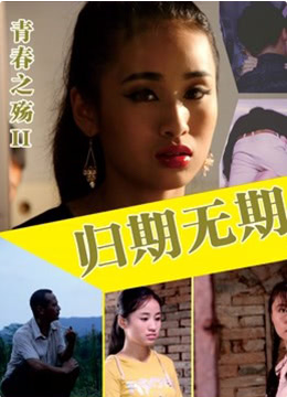 青春之殇II：归期无期封面图