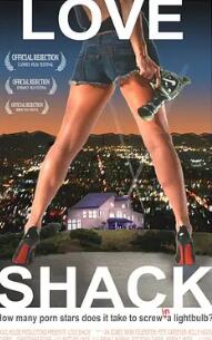 爱情陋室封面图